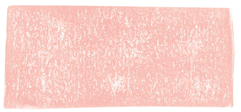 contact bg